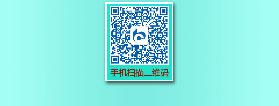 买单吧二维码