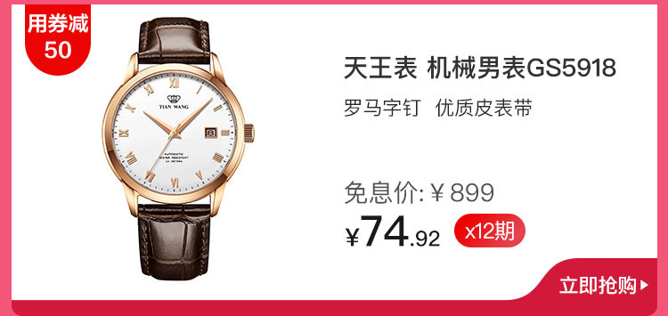 天王表 机械男表GS5918