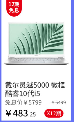 戴尔灵越5000 微框酷睿10代i5