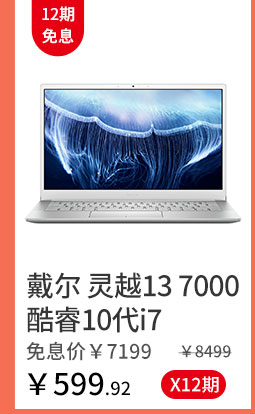 戴尔 灵越13 7000酷睿10代i7