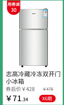 志高冷藏冷冻双开门小冰箱