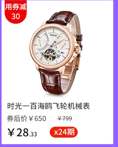 时光一百海鸥飞轮机械表