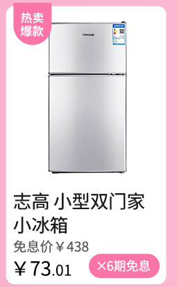 志高 小型双门家小冰箱