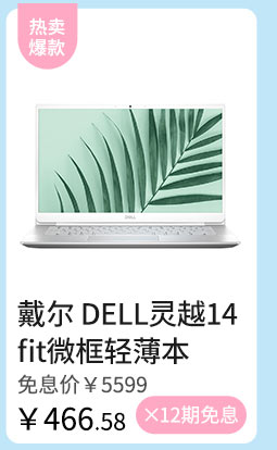戴尔 DELL灵越14 fit微框轻薄本5498-2625