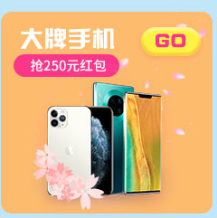 大牌手机