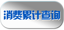 消费累计查询