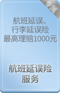 航班延误险服务